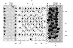 "Electrochemical cells with a high voltage cathode" (US10446845B2) by J.B Goodenough and others