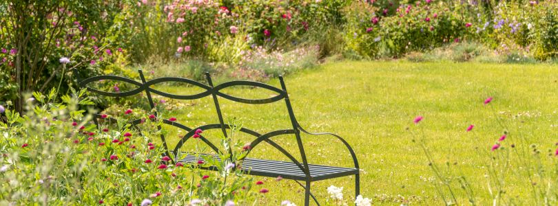 Garden bench in the countryside