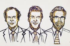 Drawing of G. Kaelin Jr, Sir Peter J. Ratcliffe and Gregg L. Semenza 